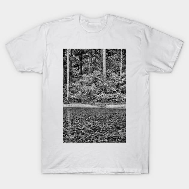 Big Thompson Canyon in Summer T-Shirt by bobmeyers